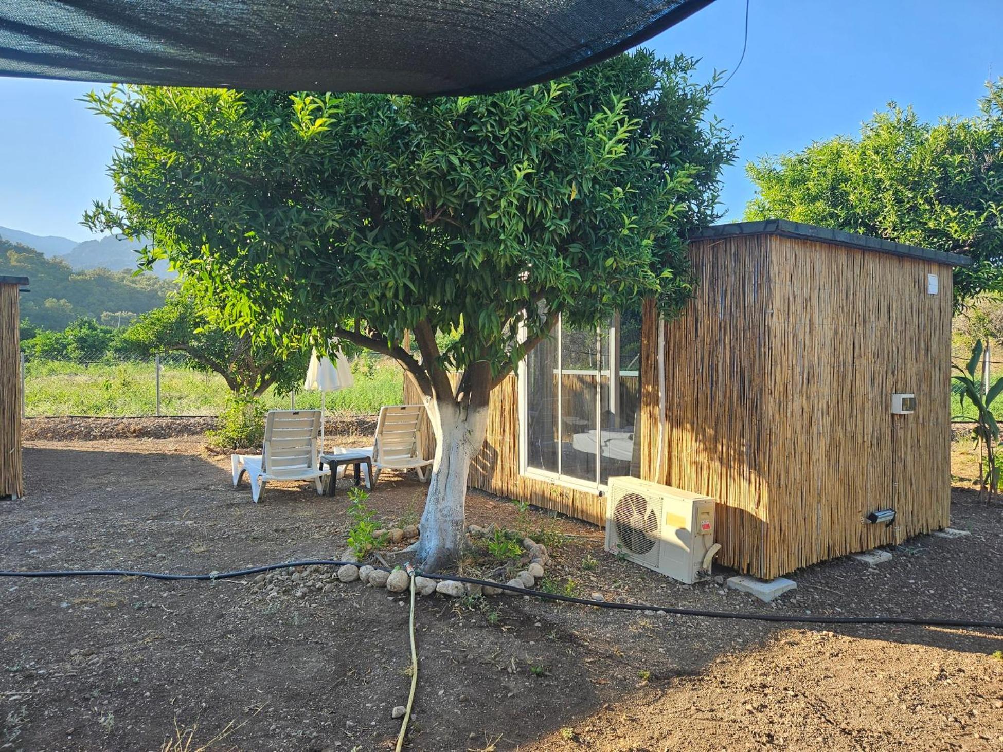 Orange Beach Camp Beldibi  Habitación foto